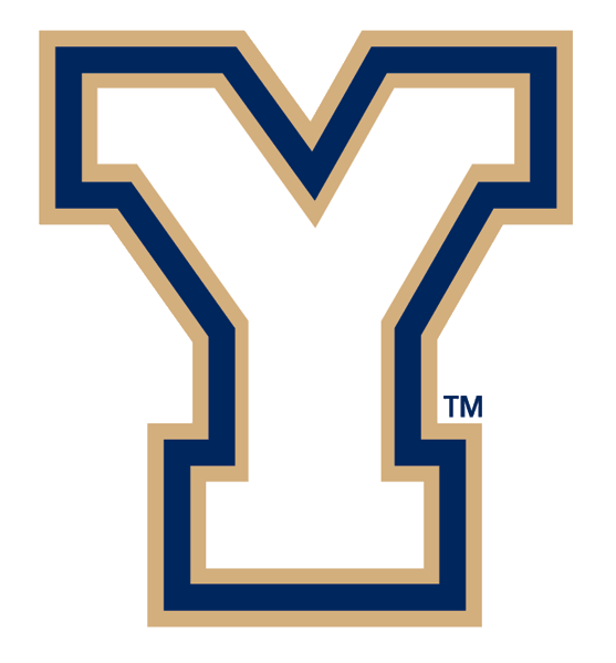 Brigham Young Cougars 1999-2004 Alternate Logo v5 diy iron on heat transfer